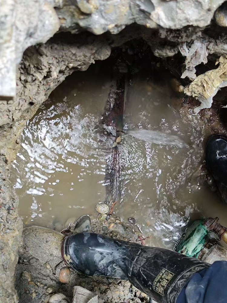 甘南本地绿化水管漏水检测维修